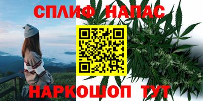 не бодяженный Беслан