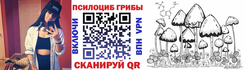 Псилоцибиновые грибы Magic Shrooms  Беслан 