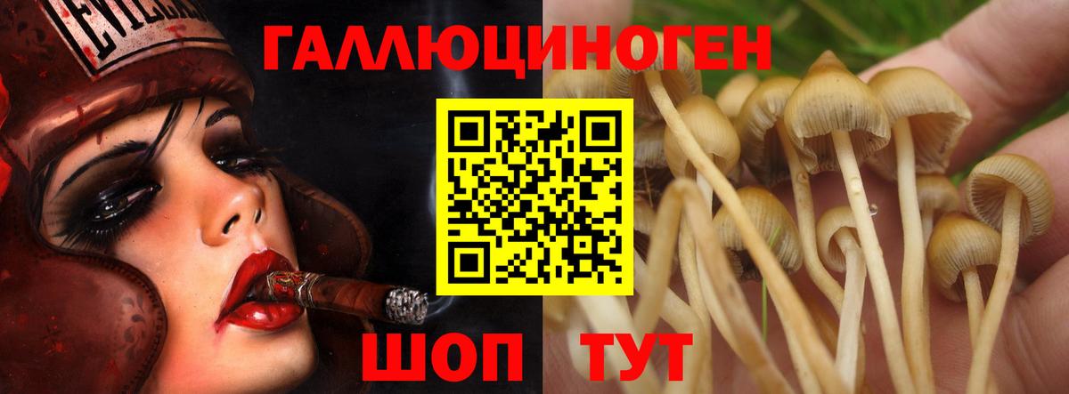 Галлюциногенные грибы прущие грибы Беслан