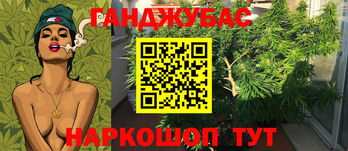 Канабис сатива Беслан